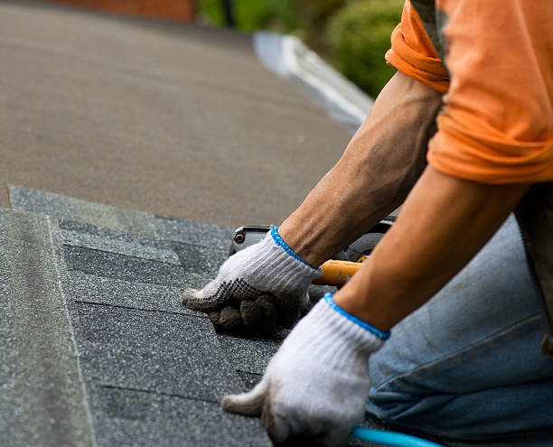 Best Roof Restoration Services  in Wamego, KS